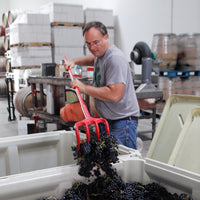 Canadian Wine and Food Pairing Experience with Winemaker