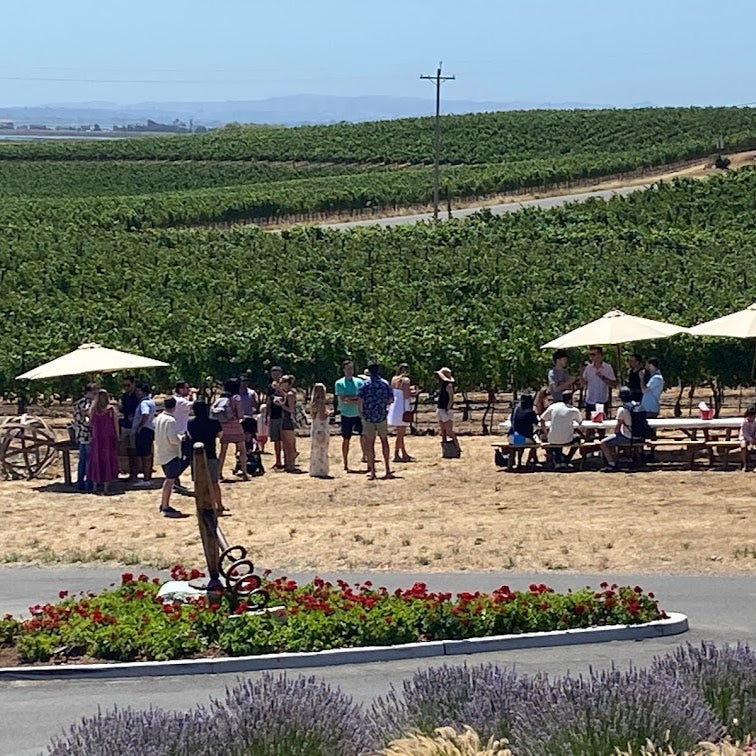 Corporate Wine Events