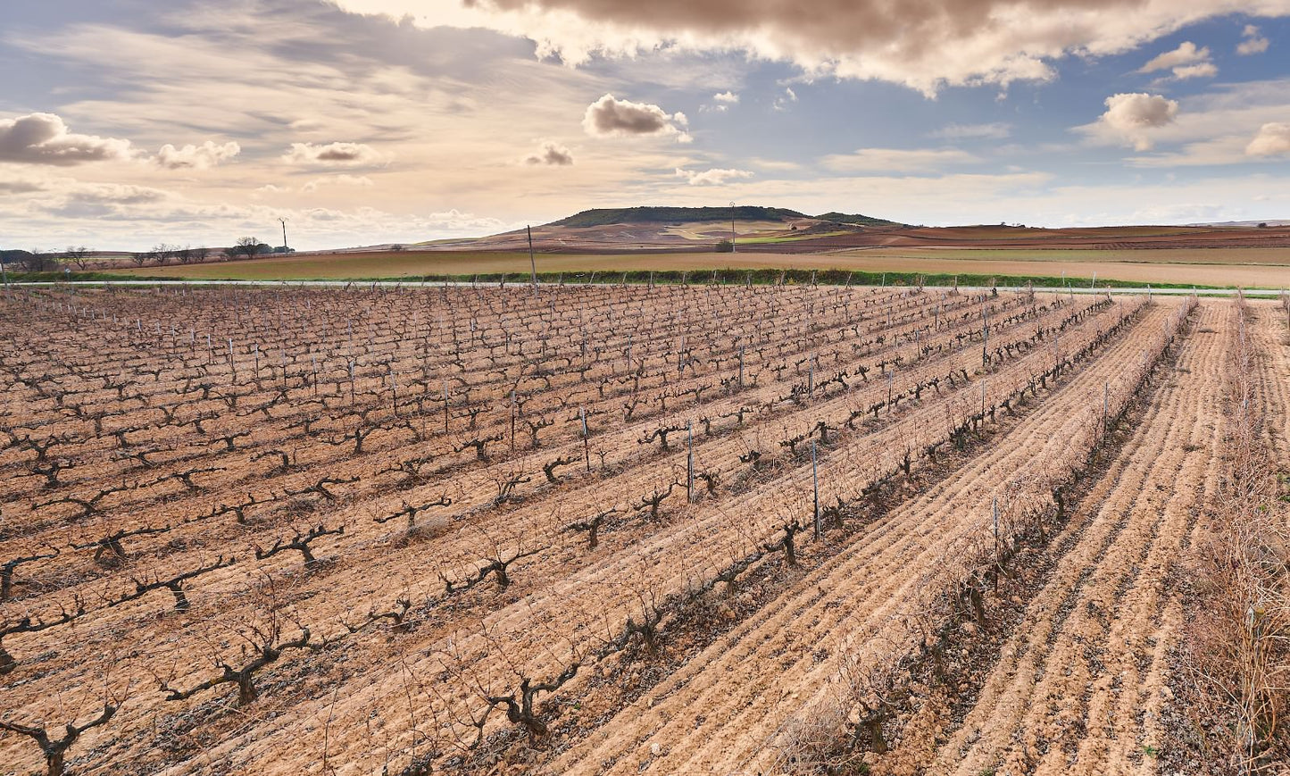 Corporate retreat in Spain