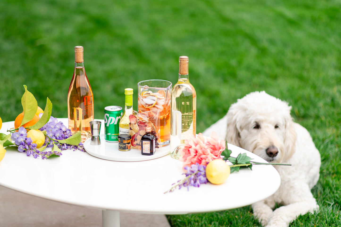 Sip into Summer: Sangria Kit Experience