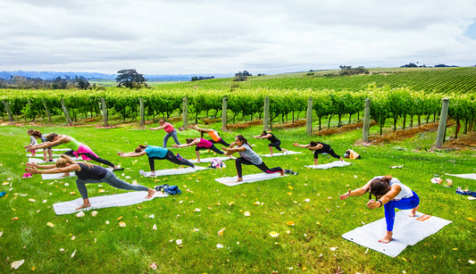 Sonoma, Your Way: Curated Wine Country Escapes