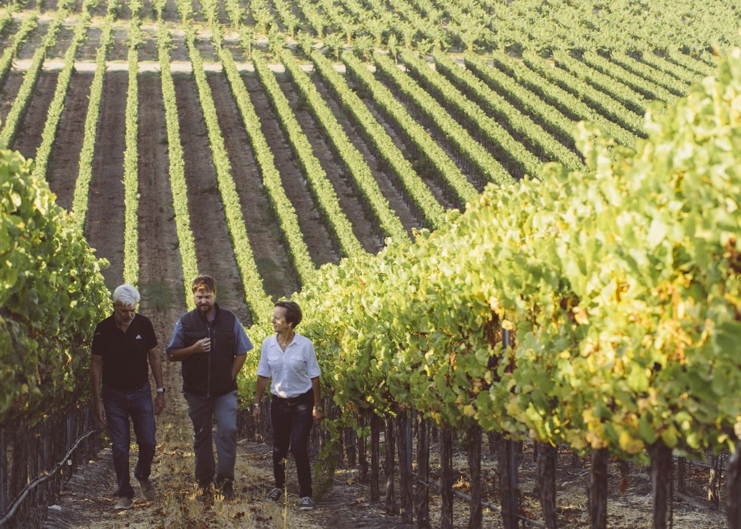 Savor Santa Barbara: Virtual Wine Tasting with SAMsARA Wine Co.