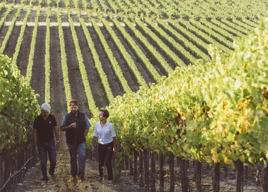 Savor Santa Barbara: Virtual Wine Tasting with SAMsARA Wine Co.
