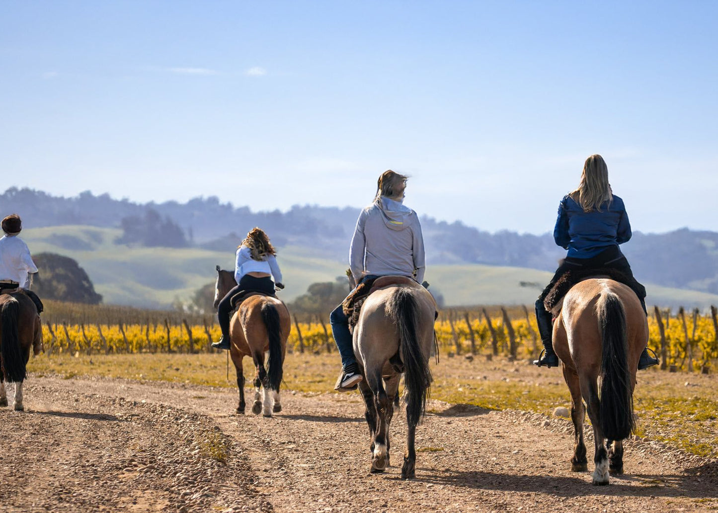 Sonoma, Your Way: Curated Wine Country Escapes