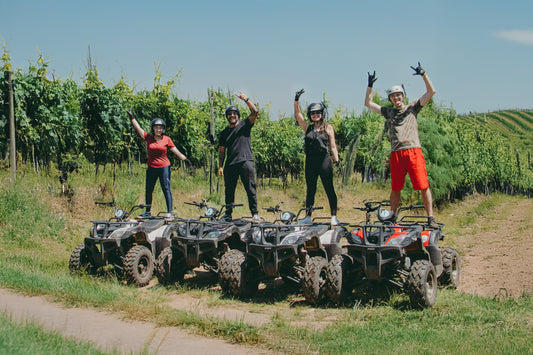 Napa, Elevated: Bespoke Wine Country Experiences