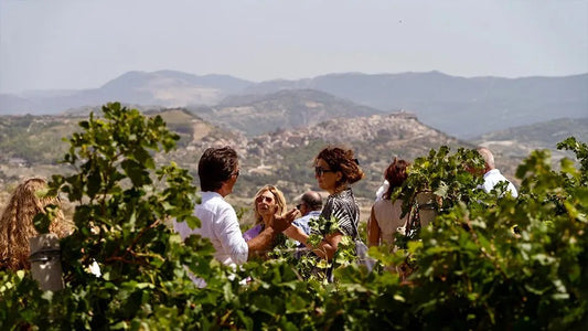 Di Giovanna Wine Experiences for Corporate Retreats & Events