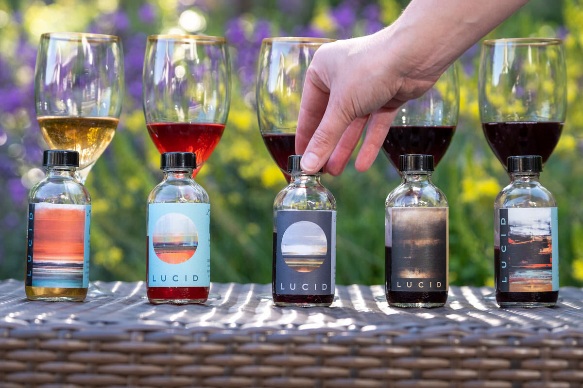 (4oz) Medium Format Virtual Wine Tasting & Trivia Pack by Voluptuary Wine & Lucid Wine
