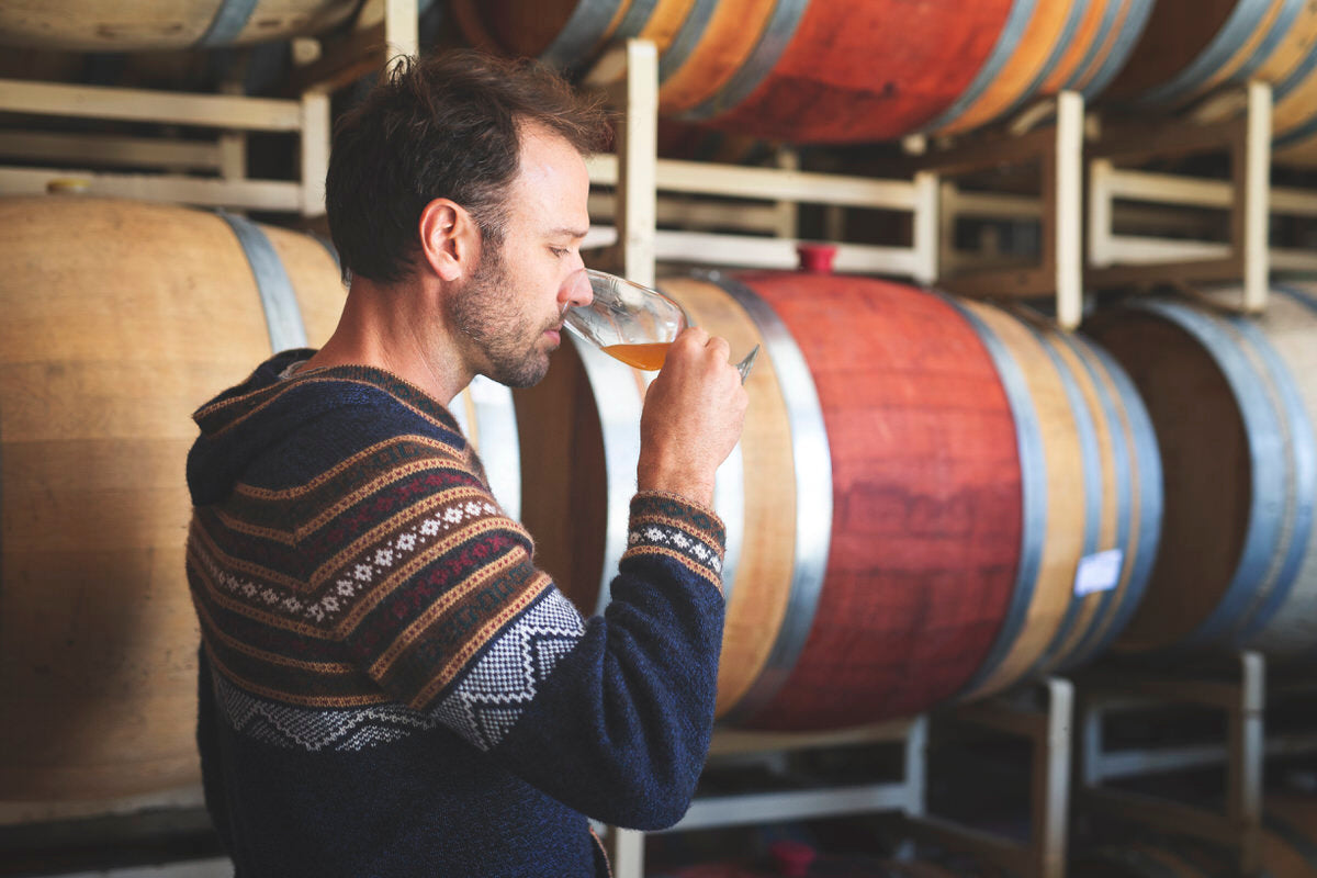 Voluptuary Virtual Wine Tasting (5 set)