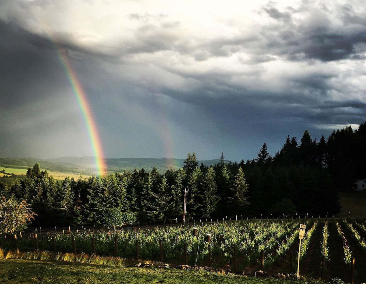 Award Winning Oregon Virtual Wine Tasting Kit