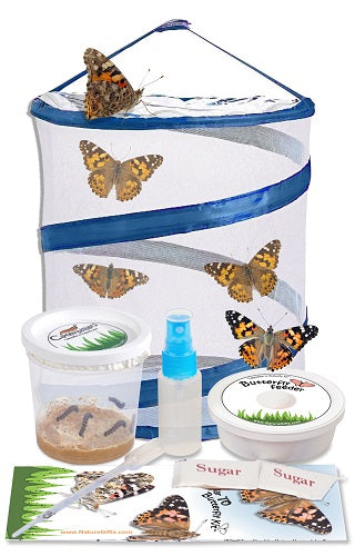 Drinks that'll give you (and the fam) butterflies