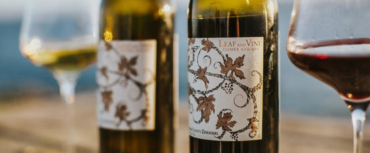 Taste with owner and winemaker Tim from Napa Valleys Leaf and Vine Winery