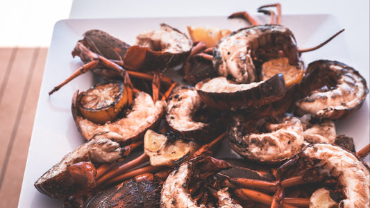 Napa Valley Lobster and Wine in the Vineyard