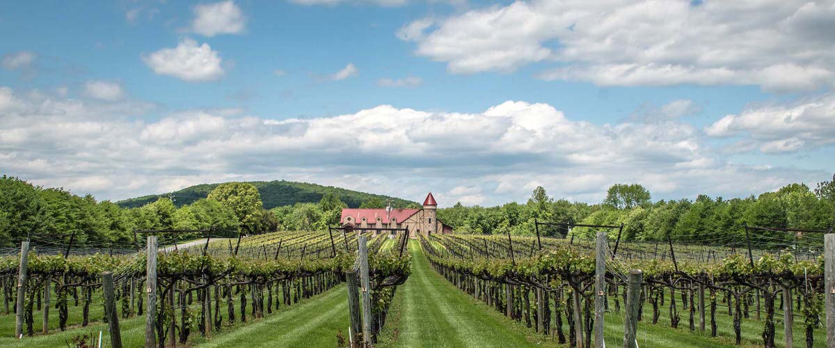 Horton Vineyards Virtual Wine Tasting