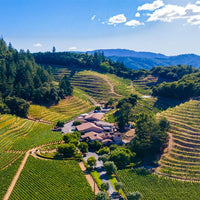 Pine Ridge Vineyards