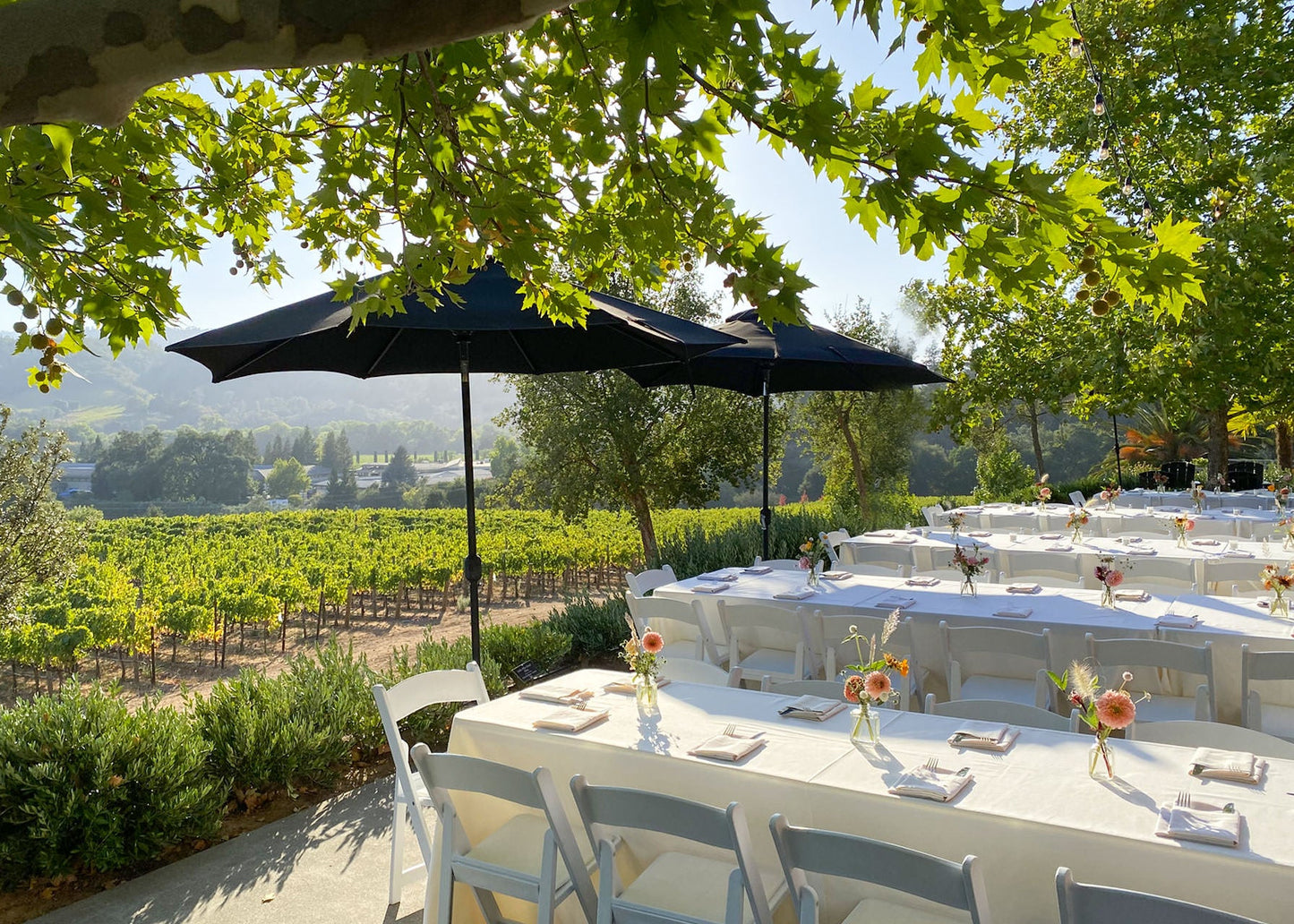Private Winery Visits, Tastings & Sabering Experiences