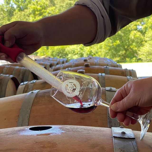 Horton Vineyards Virtual Wine Tasting