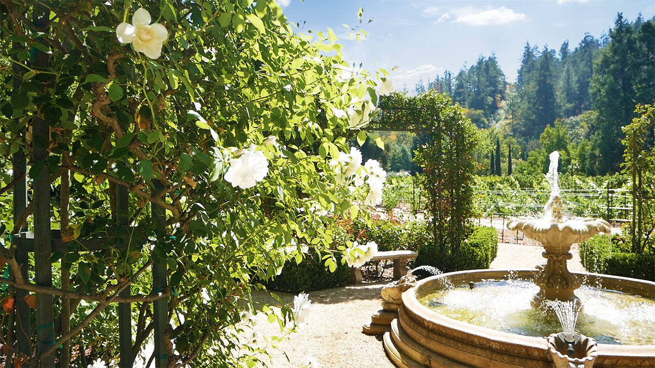Exclusive Napa Valley Cave Tour, Classic Car Viewing, Garden Vineyard Tour and more...