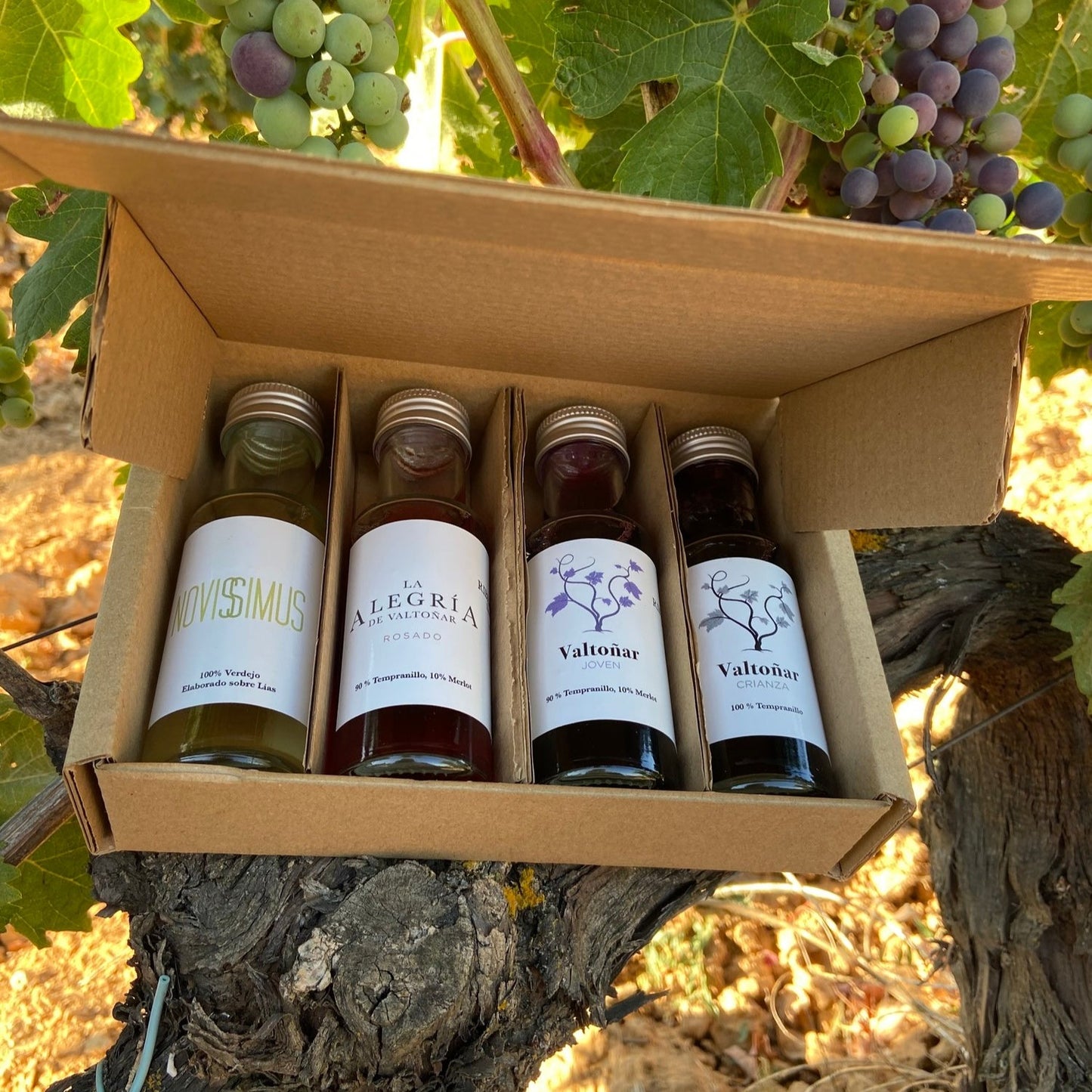 European Virtual Wine Sample Tasting Kit by Valtoñar