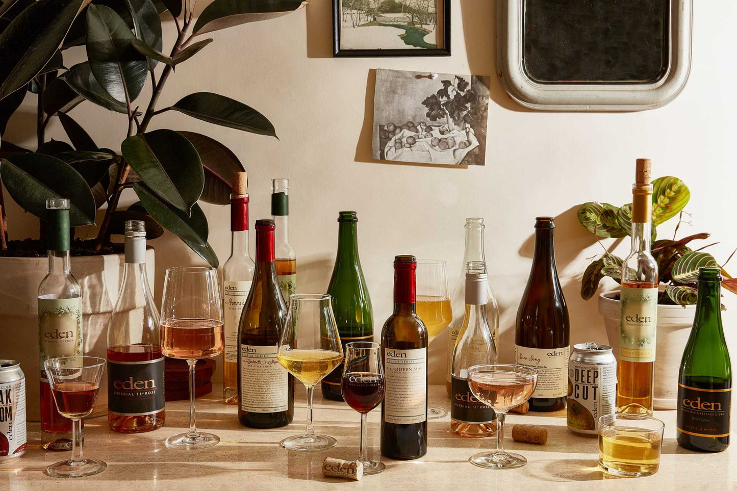 Rhode Island Virtual Cider Tasting Experience