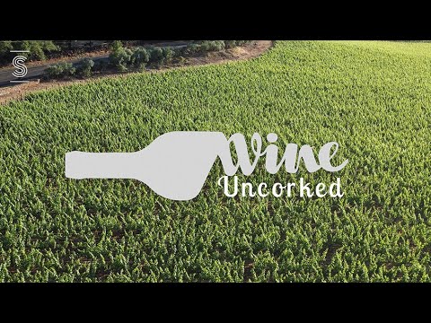 Wine & Comedy Virtual Experience